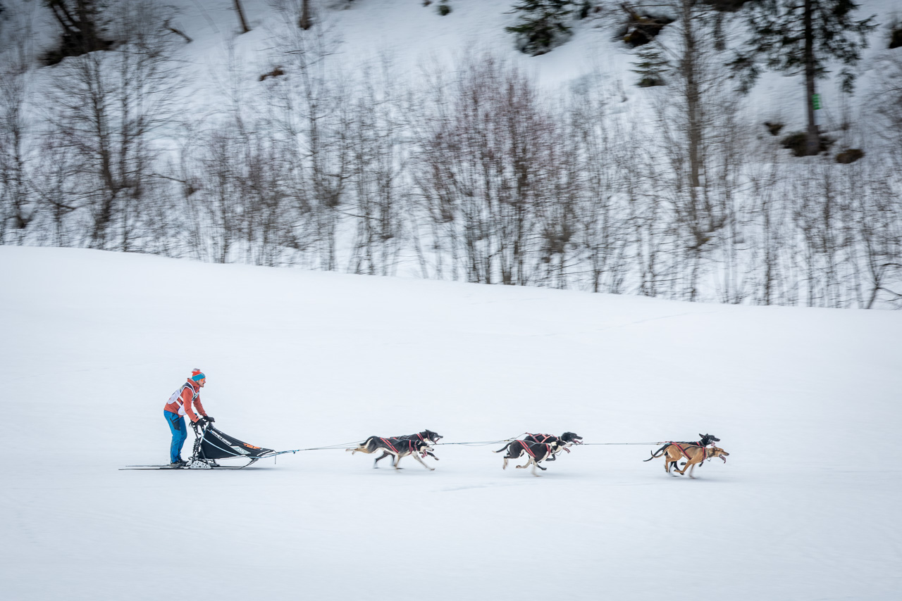 SHR Gadmen 2025 Impressionen Int. Schlittenhunderennen Gadmen 2025