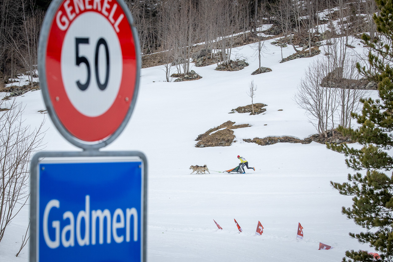 SHR Gadmen 2025 Impressionen Int. Schlittenhunderennen Gadmen 2025