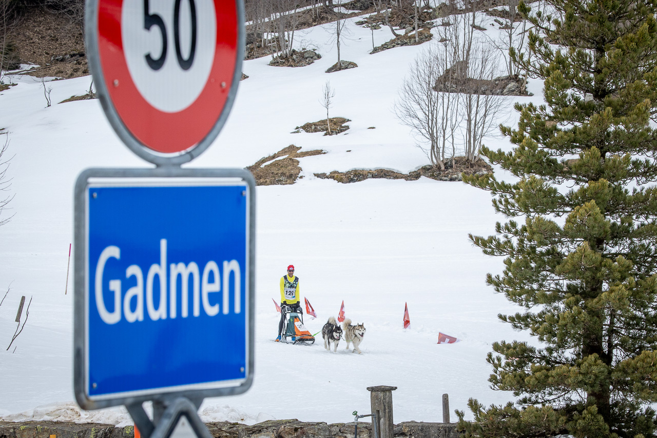 SHR Gadmen 2025 Impressionen Int. Schlittenhunderennen Gadmen 2025