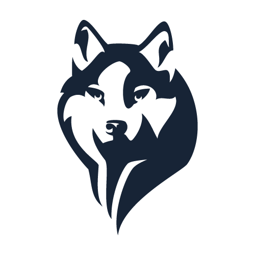 Internationale Schlittenhunderennen Gadmen